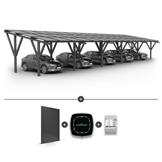 Stoginė 5 automobiliams + saulės moduliai  + Įkrovimo stotelė WALLBOX Pulsar Plus 22KW + EM340 galios matuoklis