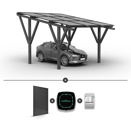 Solární přístřešek pro 1 auto + Solární panely + Wallbox EV nabíječka Pulsar Plus 22kW černá + EM340 měřič výkonu